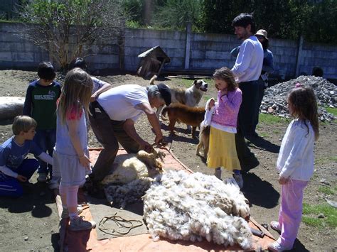 La Semilla Jard N Escuela Primaria Y Secundaria Waldorf La Esquila