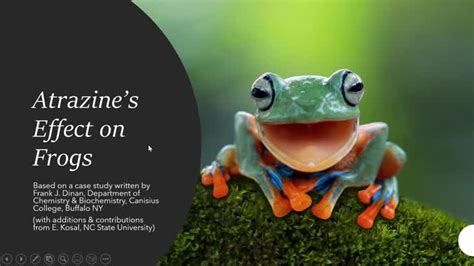 Atrazine S Effect On Frogs