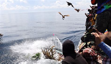 Ritual Petik Laut Muncar Tradisi Nelayan Banyuwangi Sejak Tahun