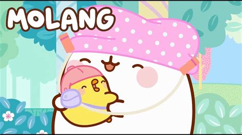 Molang La Paloma Nuevo Cap Tulo Super Toons Tv Dibujos Animados