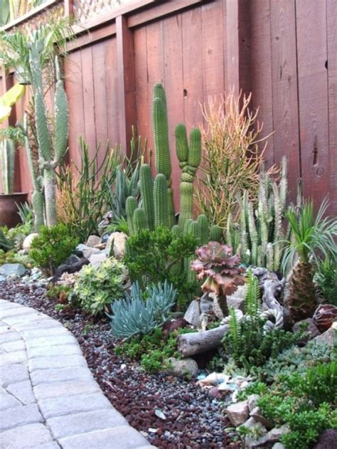 25 Spectacular Desert Garden Design Ideas - DigsDigs