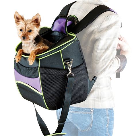 Best Dog Carrier Hiking Backpacks - Ruby Cavalier King Charles Spaniel