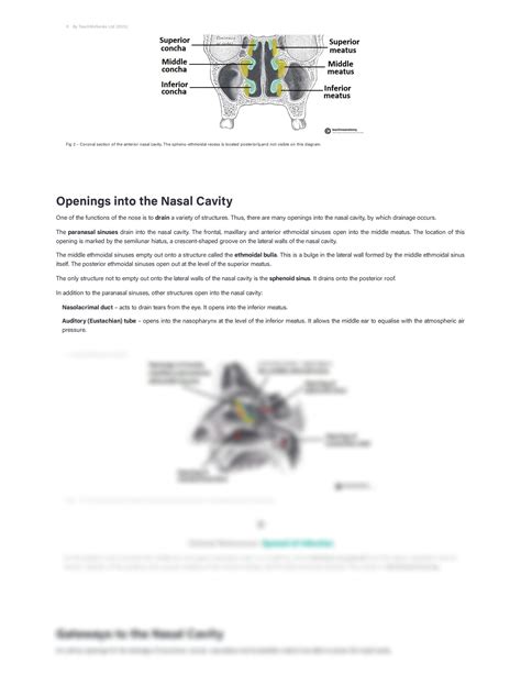 The Nasal Cavity Structure Vasculature Innervation Teachmeanatomy Images