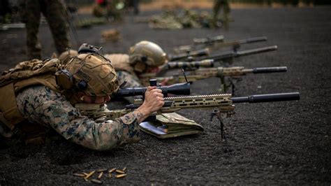 Usmc Scout Sniper