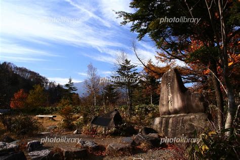 photolibrary