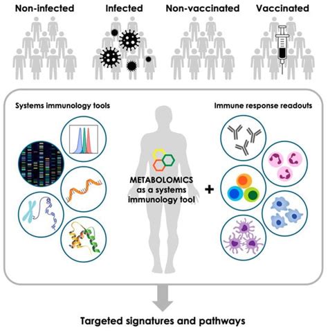 Metabolites Free Full Text Integrative Metabolomics To Identify Molecular Signatures Of