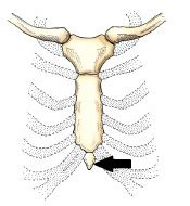 Positioning Ii Ch Bony Thorax Flashcards For Medicine Flashcards