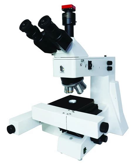 optical microscope ken  vision optical microscope latest price