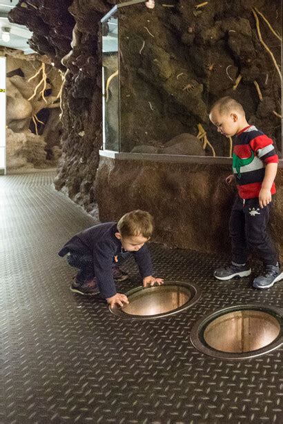 Underground Adventure Meer