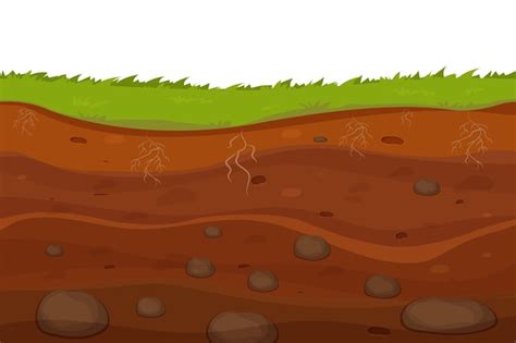 Premium Vector | Soil ground with layers grass roots and stones earth ...