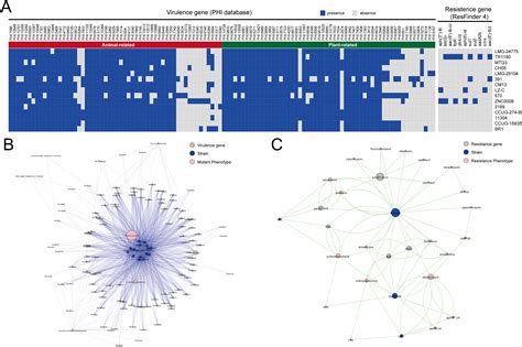 Pan Genome Analysis Of Delftia Tsuruhatensis Reveals Important Traits