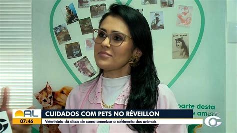 Saiba Como Diminuir O Estresse Dos Pets Causado Pelo Barulho Dos Fogos