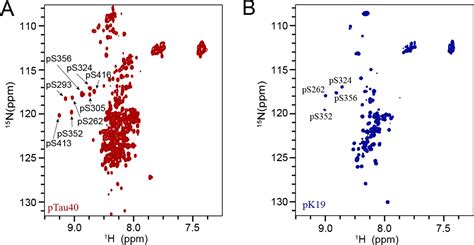 Figures And Data In Specific Binding Of Hsp27 And Phosphorylated Tau