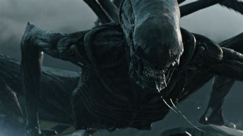 Alien: Covenant Review: Exquisite, But Infuriating | Collider