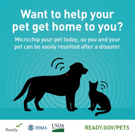 Pet Safety Graphics