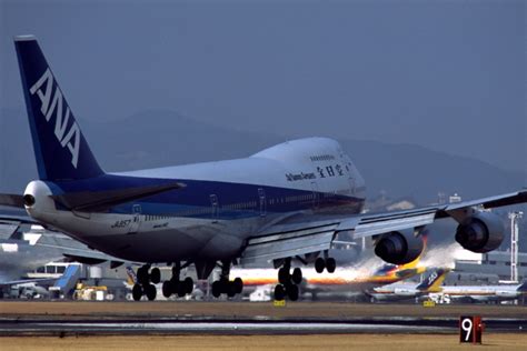 機体記号 Ja798a Ana 航空機体ガイド Flyteamフライチーム