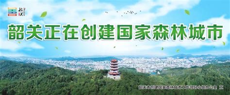 罕见！“国宝级”金斑喙凤蝶现身广东南岭 韶关市创建国家森林城市 关注森林网