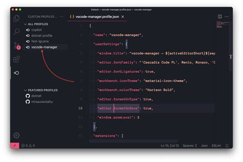 Custom Profiles For VSCode Visual Studio Marketplace