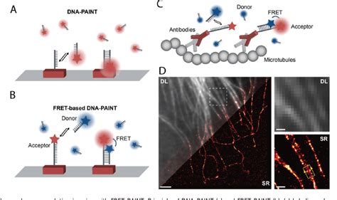 Figure 15 From Fluorogenic Probes For Super Resolution Microscopy