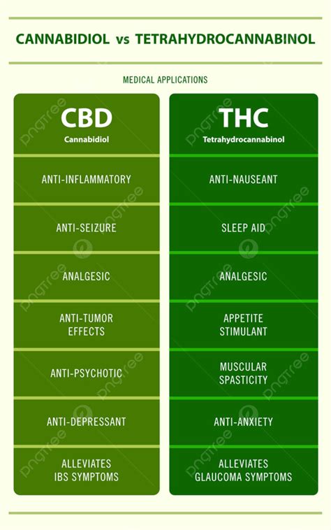 Cbd Vs Thc Aplicaciones Médicas Ilustración Infográfica Vertical Sobre