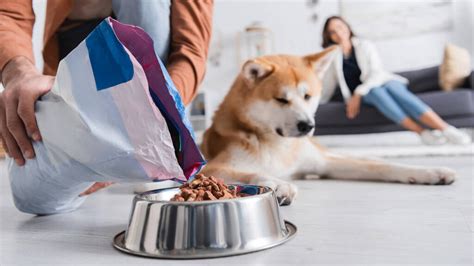 5 tendências para o futuro do mercado de Pet Food MBA USP FMVZ