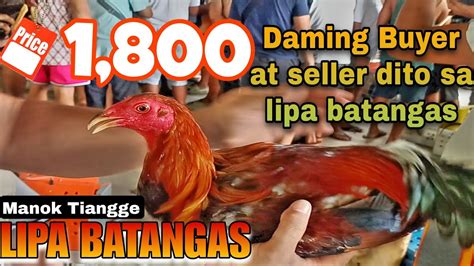 Pinakamalakas Na Bentahan Ng Manok Sa Lipa L Lipa Batangas Youtube