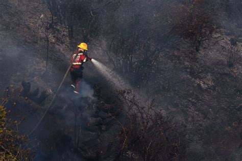 Minam Asegura 30 Millones De Soles Para Restaurar El Bosque Seco En