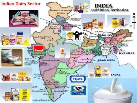 Dairy Industry In India