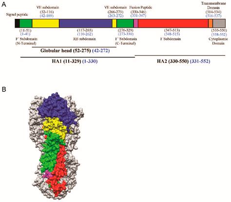 Figure 1 From The Vestigial Esterase Domain Of Haemagglutinin Of H5n1