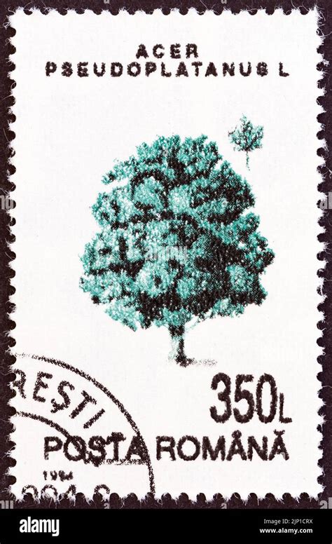 Romania Circa A Stamp Printed In Romania From The Trees Issue