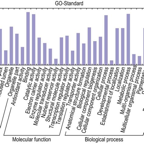 Gene Ontology Classifications Of Assembled Transcripts Download