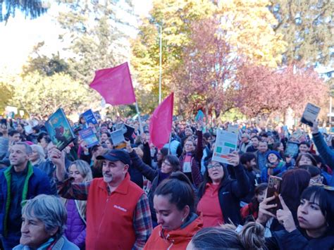 La Comarca Andina Y Un Contundente Respaldo A La Educación Pública