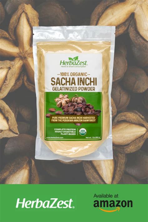 Herbazest Sacha Inchi Protein Powder Organic Vegan Savoury Dishes