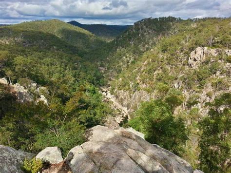 Crows Nest National Park Aussie Bushwalking