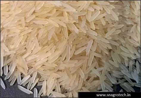 Pusa Golden Sella Basmati Rice At Rs 60 Kg Brookefield Bengaluru