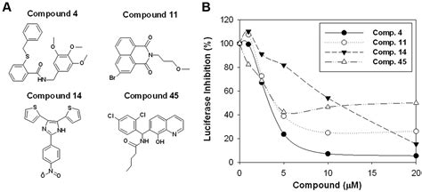 Evaluation Of A Luciferase Based Reporter Assay As A Screen For