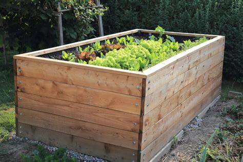 20 BEST Vegetables to Grow in a Raised Garden Bed (2023) - The ...