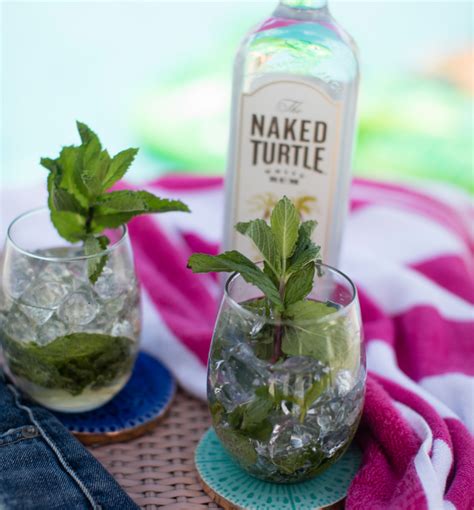 Naked Mojito Bar Business