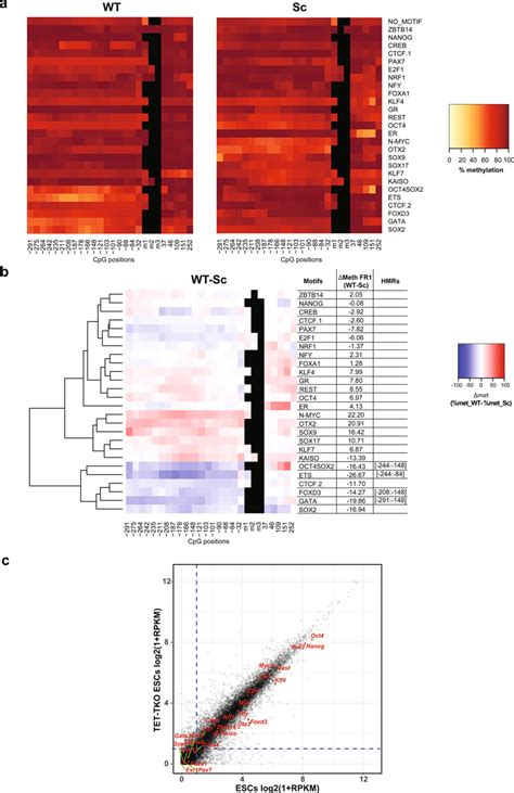 Most Spfs Induce Tet Dependent Active Dna Demethylation A Heatmaps