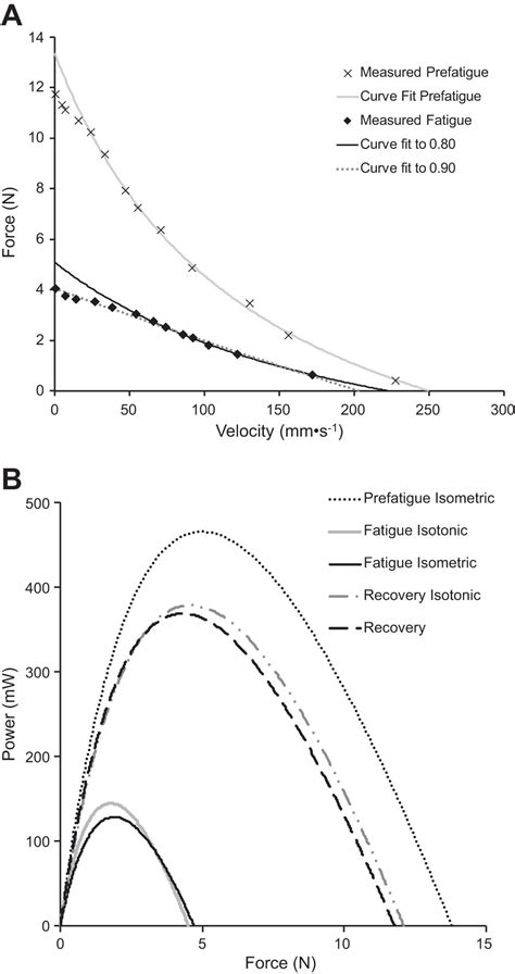 Force Velocity Relationship During Isometric And Isotonic Fatiguing