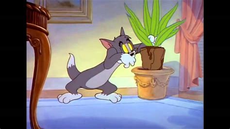 Tom And Jerry 30 Episode Dr Jekyll And Mr Mouse 1947 YouTube