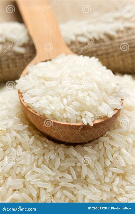 Rice Stock Photo Image Of Copy Gourmet Classic Focus 26651928