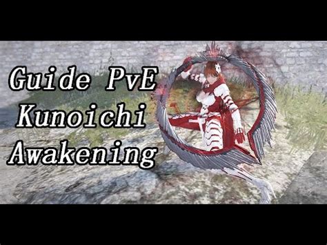 Bdo Quick Guide Kunoichi Awakening Pve Youtube