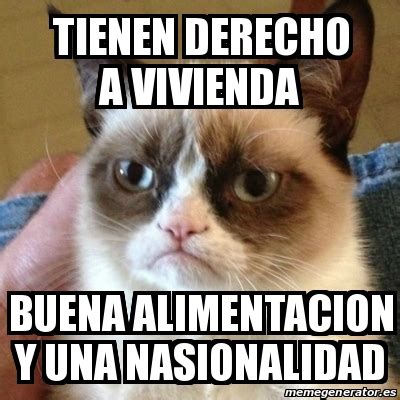 Meme Grumpy Cat Tienen Derecho A Vivienda Buena Alimentacion Y Una