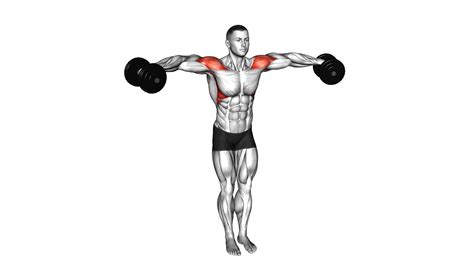 dumbbell bent arm lateral raise male video guide tips