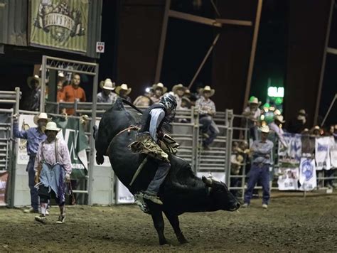 Ranch Rodeo / Bull Riding Events