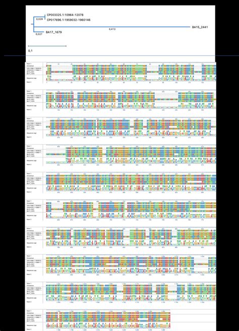 Unrooted Phylogenetic Tree Constructed By Maximum Likelihood Raxml