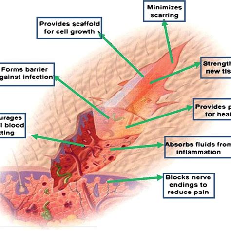 Three Main Methods Of Drug Loading A The Easiest Drug Loading Method Download Scientific