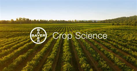 bayer crop science