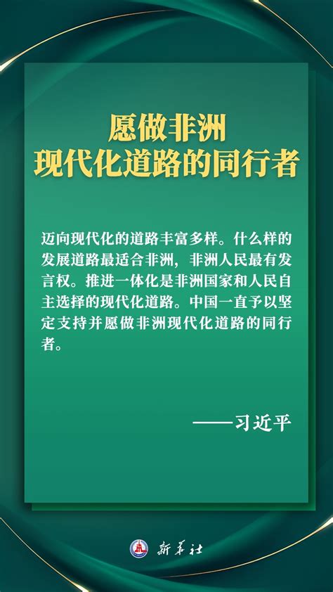 海报丨推进现代化，习近平擘画高水平中非命运共同体美好未来 新华网